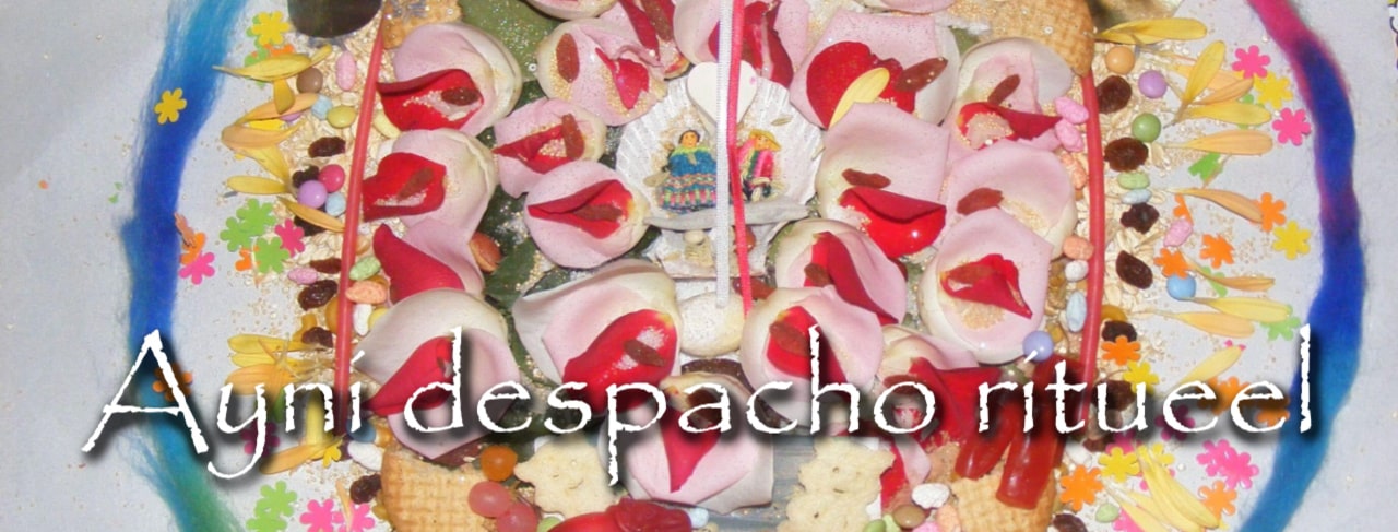 Ayni Despacho maken