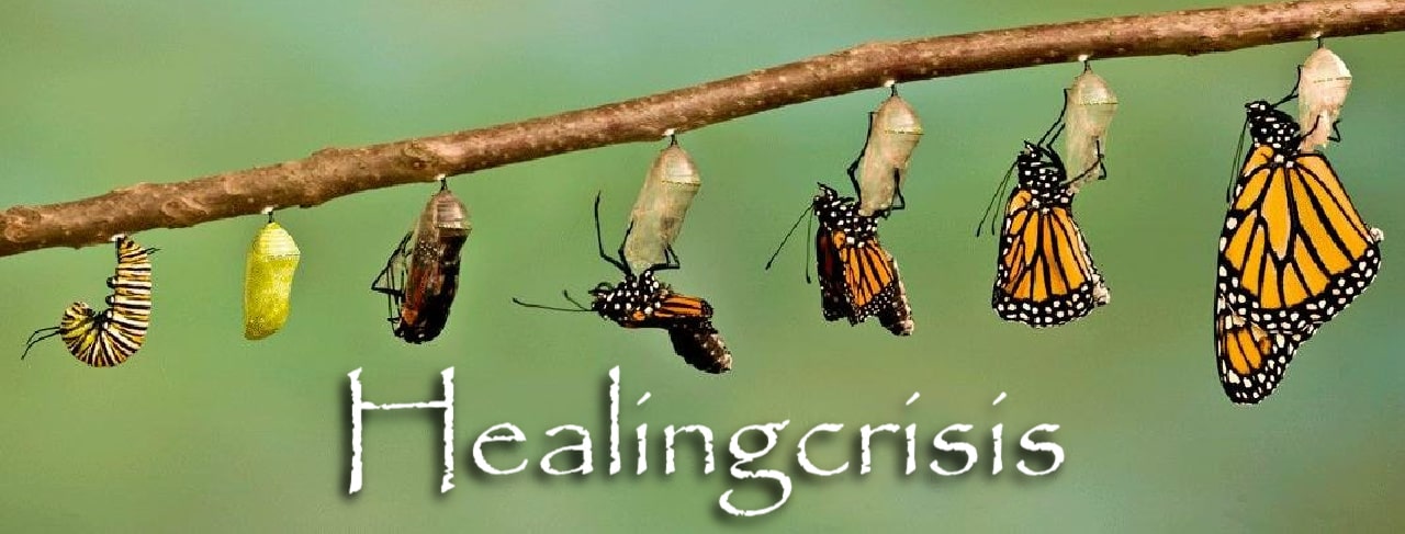 healingcrisis en voeding