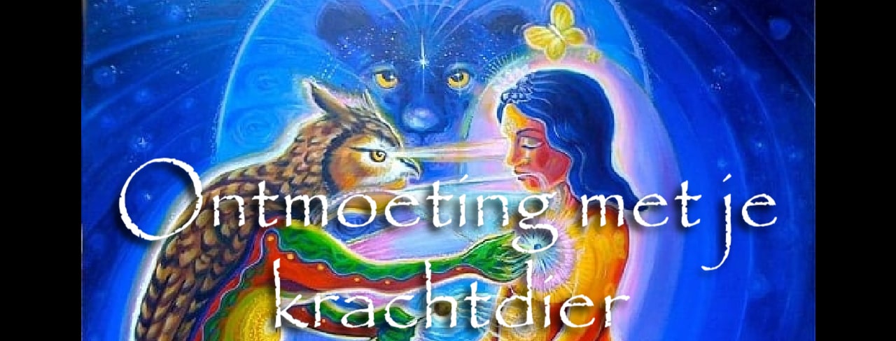 ontmoeting met je krachtdier