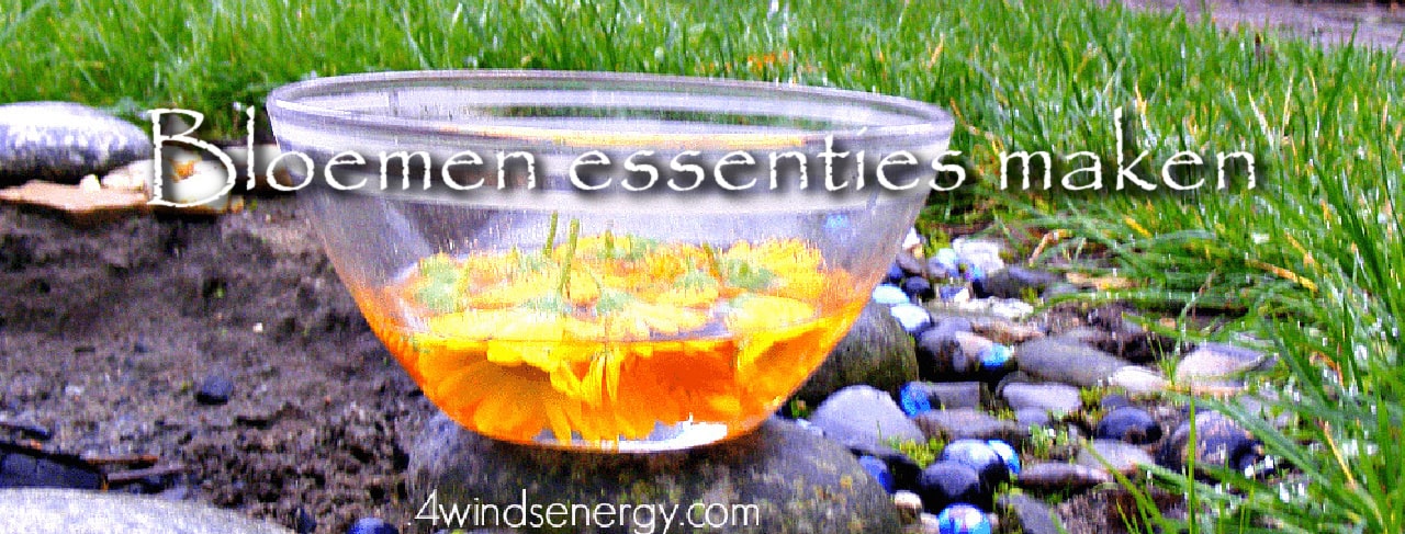 Bloemen essenties maken