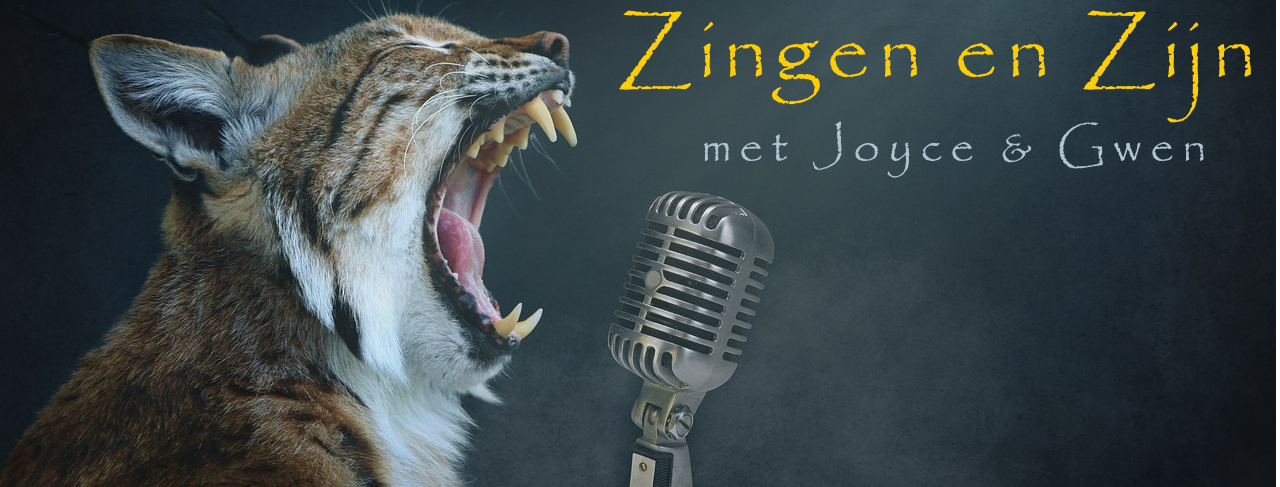 4windsenergy stembevrijding
