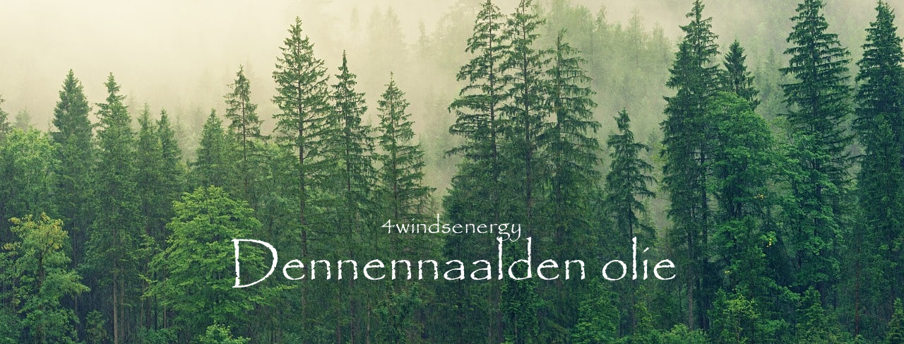 Ontdek de Kracht van Dennennaalden Olie – Vitaliteit & Licht